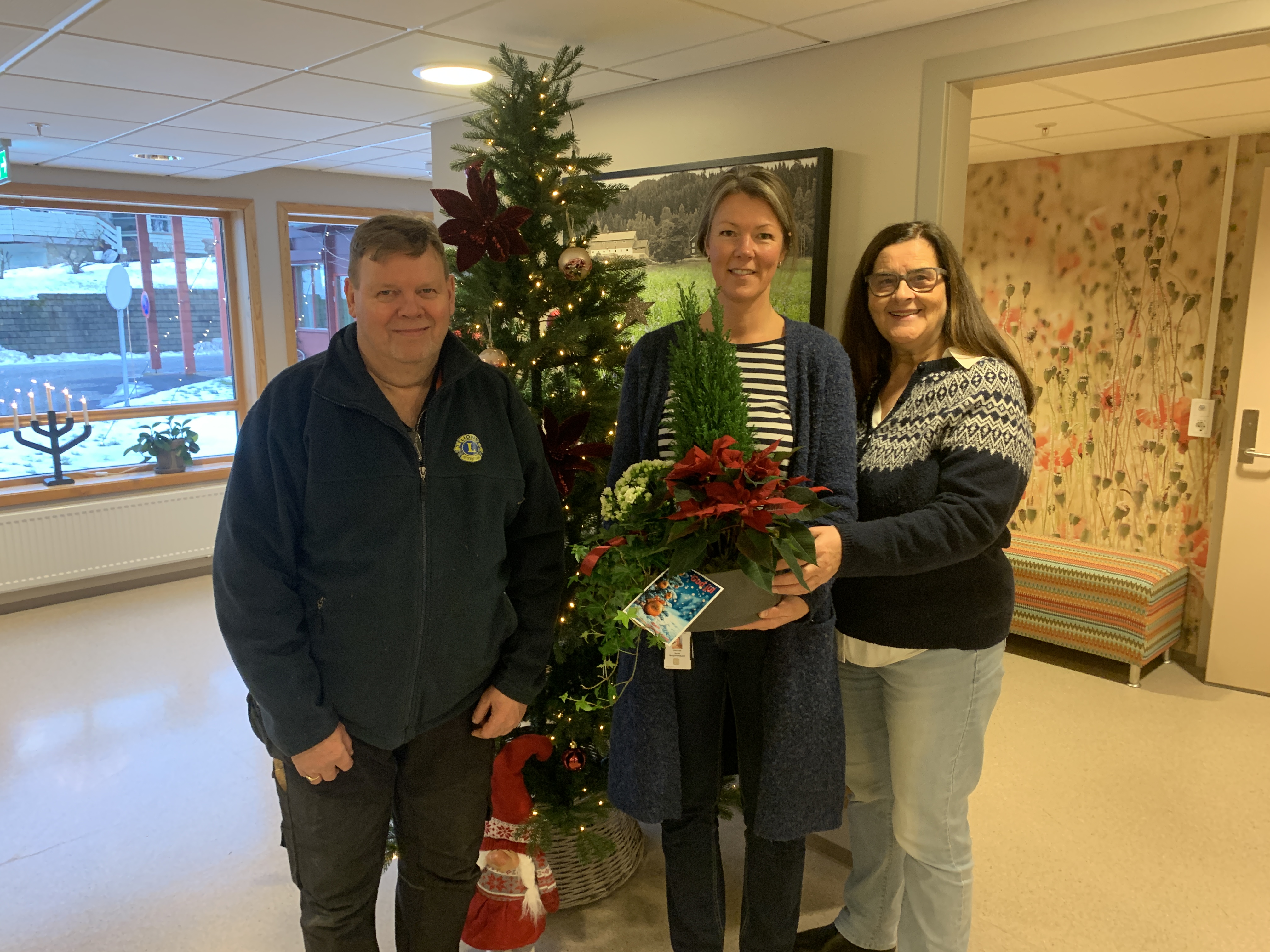 Artikkelbilde til artikkelen Juleblomster 2025